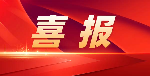 喜報(bào)！熱烈祝賀我司榮獲江蘇省“專精特新”企業(yè)稱號(hào)